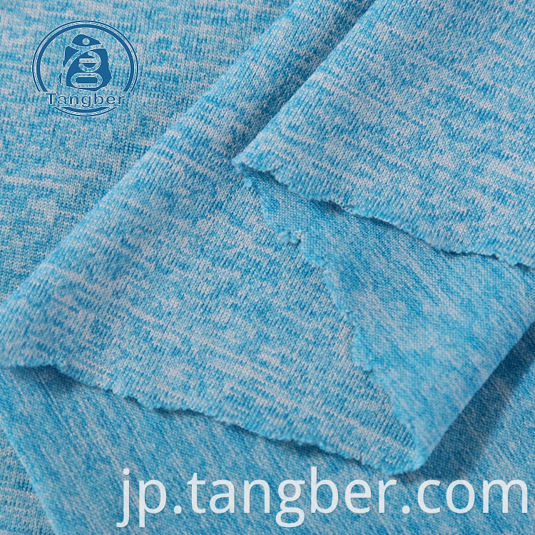 Dty polyester Jersey Fabric